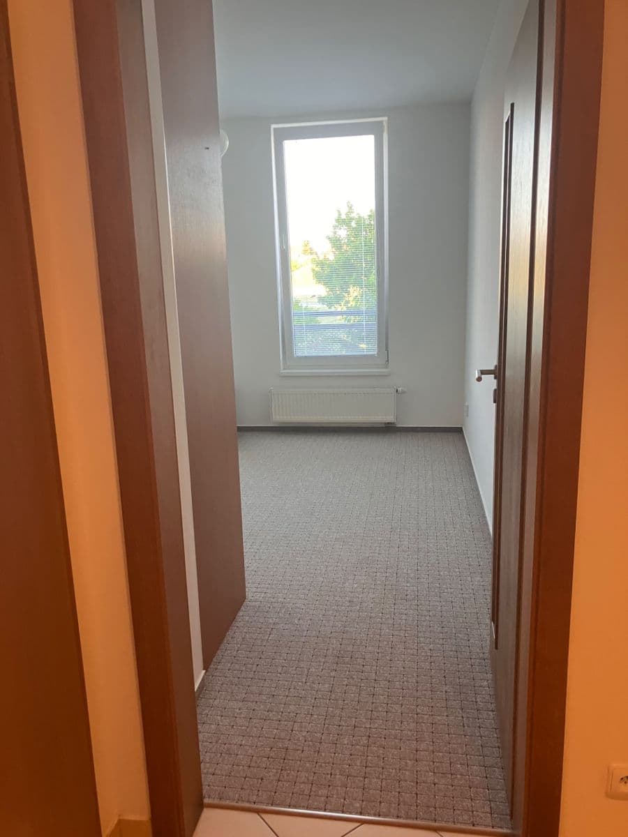 1 bedroom with open-plan kitchen flat to rent, 47 m², Karla Kryla, Prague, Prague 1 bedroom with open-plan kitchen flat to rent, 47 m², Karla Kryla, Prague, Prague