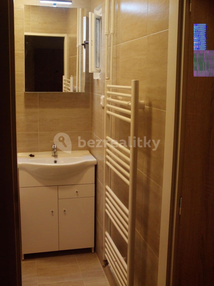 1 bedroom with open-plan kitchen flat to rent, 43 m², Čimická, Prague, Prague 1 bedroom with open-plan kitchen flat to rent, 43 m², Čimická, Prague, Prague