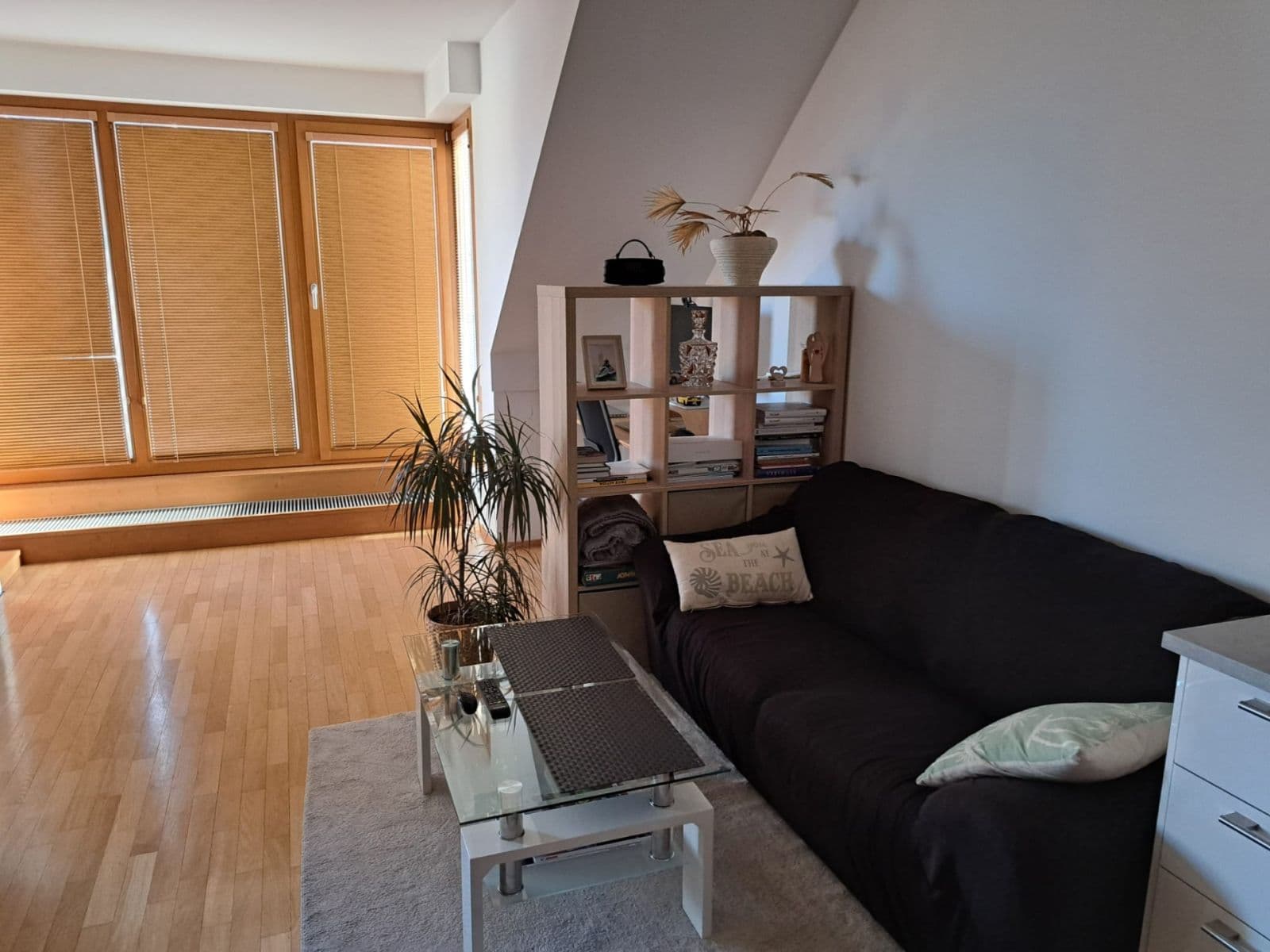 1 bedroom with open-plan kitchen flat to rent, 63 m², U Proseckého Kostela, Prague, Prague 1 bedroom with open-plan kitchen flat to rent, 63 m², U Proseckého Kostela, Prague, Prague