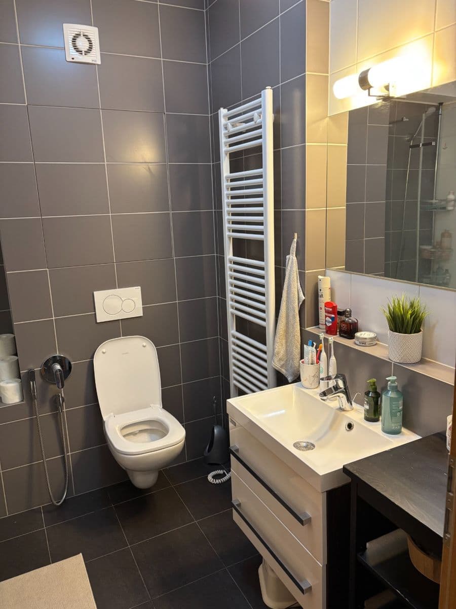 1 bedroom with open-plan kitchen flat to rent, 63 m², U Proseckého Kostela, Prague, Prague 1 bedroom with open-plan kitchen flat to rent, 63 m², U Proseckého Kostela, Prague, Prague