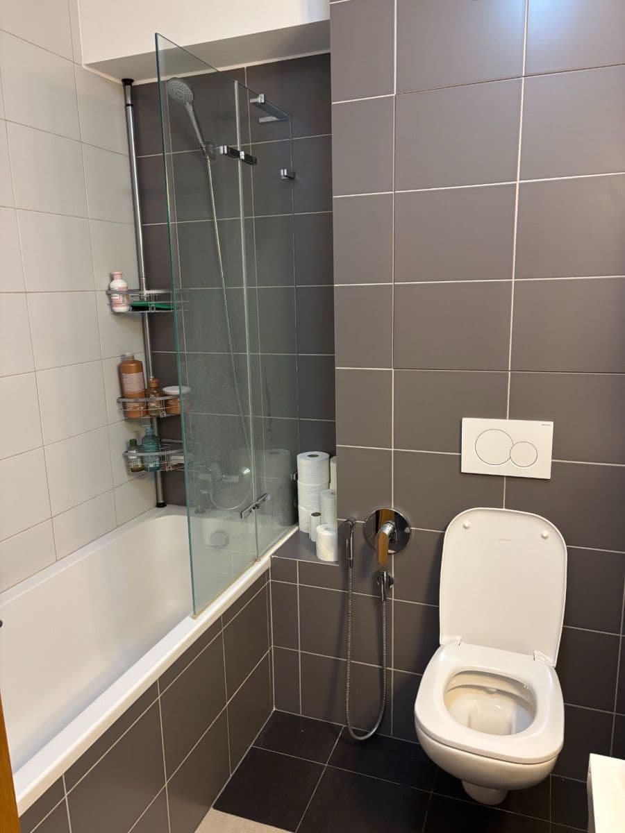 1 bedroom with open-plan kitchen flat to rent, 63 m², U Proseckého Kostela, Prague, Prague 1 bedroom with open-plan kitchen flat to rent, 63 m², U Proseckého Kostela, Prague, Prague