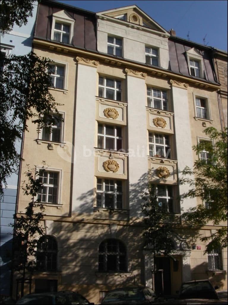 1 bedroom with open-plan kitchen flat to rent, 55 m², Velehradská, Prague, Prague 1 bedroom with open-plan kitchen flat to rent, 55 m², Velehradská, Prague, Prague