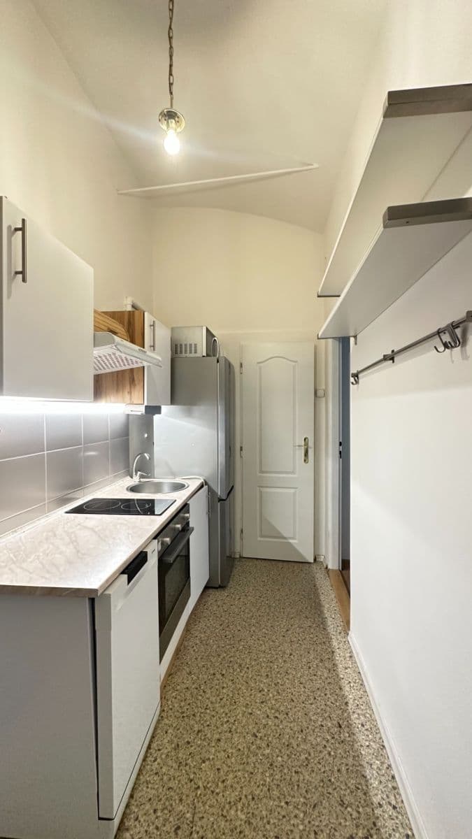 1 bedroom with open-plan kitchen flat to rent, 55 m², Velehradská, Prague, Prague 1 bedroom with open-plan kitchen flat to rent, 55 m², Velehradská, Prague, Prague