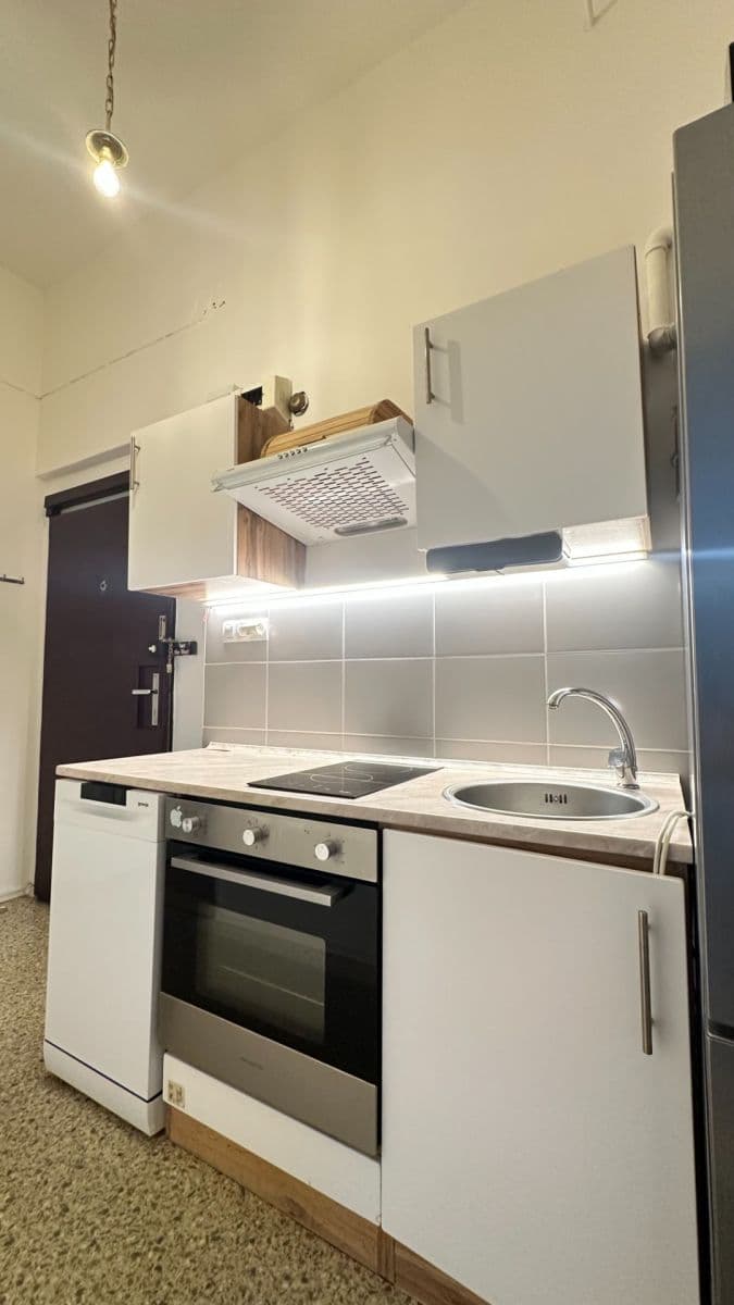1 bedroom with open-plan kitchen flat to rent, 55 m², Velehradská, Prague, Prague 1 bedroom with open-plan kitchen flat to rent, 55 m², Velehradská, Prague, Prague