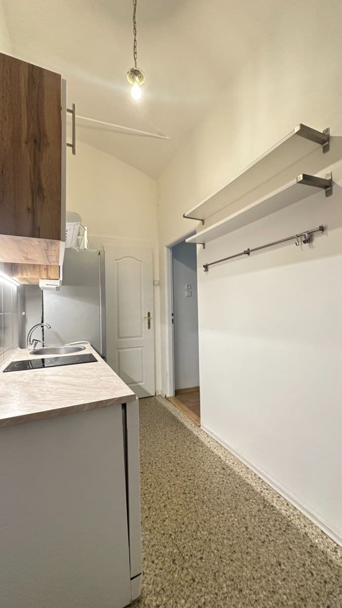 1 bedroom with open-plan kitchen flat to rent, 55 m², Velehradská, Prague, Prague 1 bedroom with open-plan kitchen flat to rent, 55 m², Velehradská, Prague, Prague