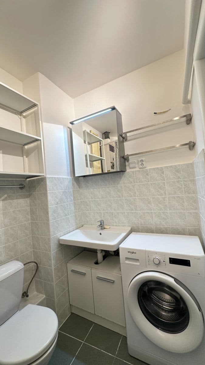 1 bedroom with open-plan kitchen flat to rent, 55 m², Velehradská, Prague, Prague 1 bedroom with open-plan kitchen flat to rent, 55 m², Velehradská, Prague, Prague