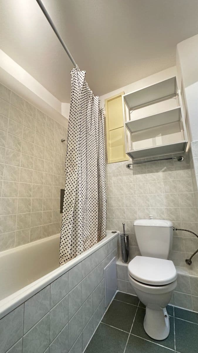 1 bedroom with open-plan kitchen flat to rent, 55 m², Velehradská, Prague, Prague 1 bedroom with open-plan kitchen flat to rent, 55 m², Velehradská, Prague, Prague