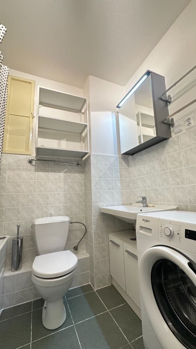 1 bedroom with open-plan kitchen flat to rent, 55 m², Velehradská, Prague, Prague 1 bedroom with open-plan kitchen flat to rent, 55 m², Velehradská, Prague, Prague