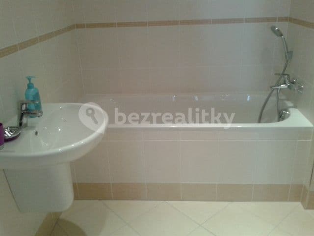 1 bedroom with open-plan kitchen flat to rent, 53 m², Pavla Beneše, Prague, Prague 1 bedroom with open-plan kitchen flat to rent, 53 m², Pavla Beneše, Prague, Prague