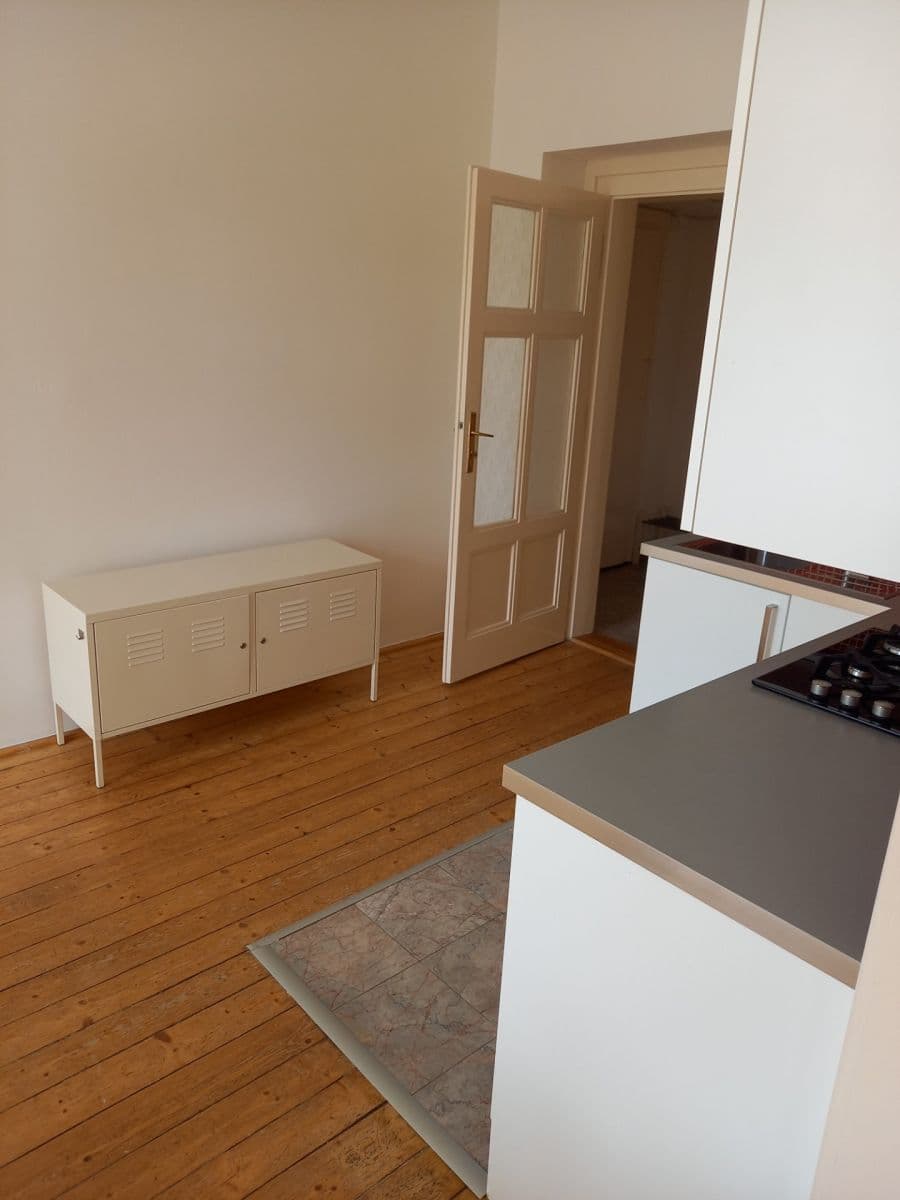1 bedroom with open-plan kitchen flat to rent, 45 m², Rejskova, Prague, Prague 1 bedroom with open-plan kitchen flat to rent, 45 m², Rejskova, Prague, Prague