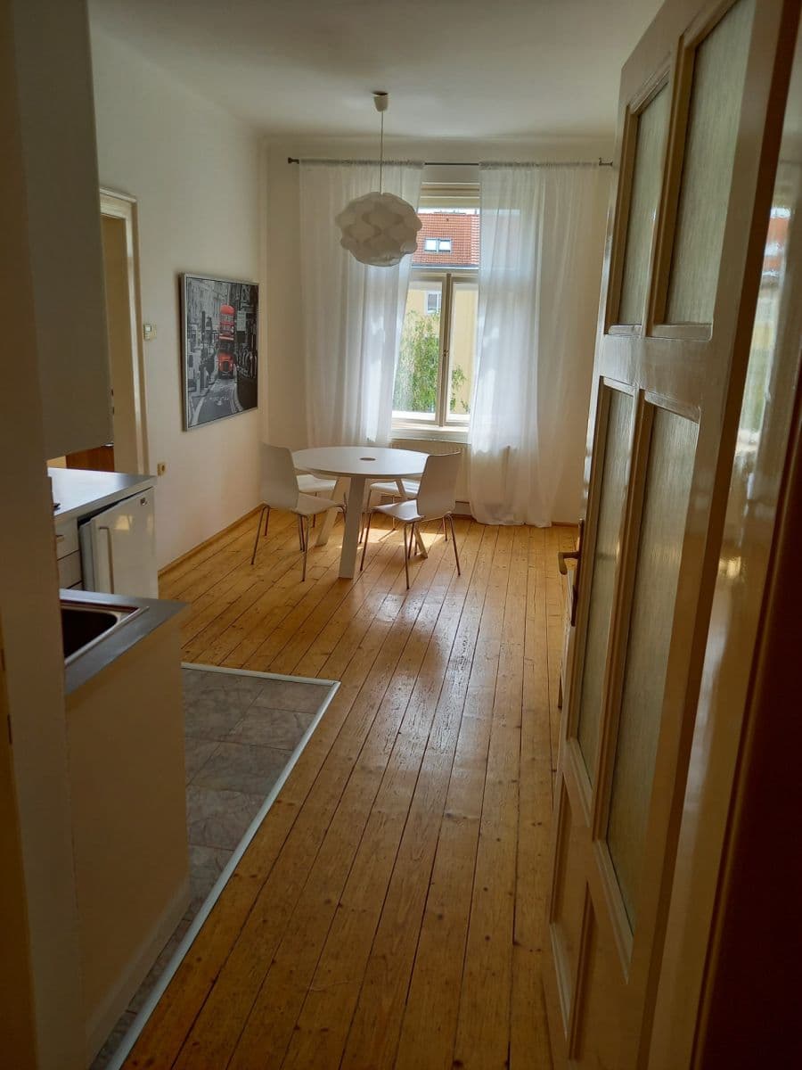1 bedroom with open-plan kitchen flat to rent, 45 m², Rejskova, Prague, Prague 1 bedroom with open-plan kitchen flat to rent, 45 m², Rejskova, Prague, Prague