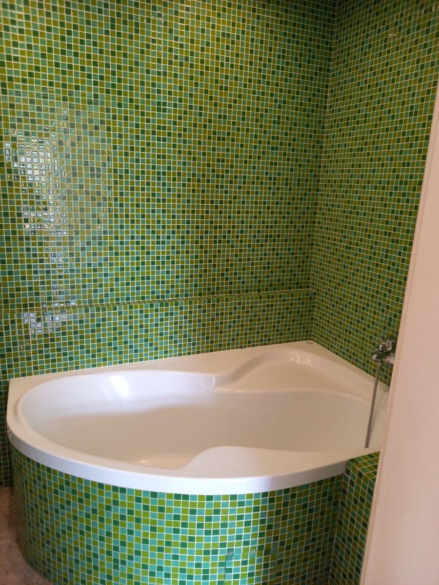 1 bedroom with open-plan kitchen flat to rent, 45 m², Rejskova, Prague, Prague 1 bedroom with open-plan kitchen flat to rent, 45 m², Rejskova, Prague, Prague