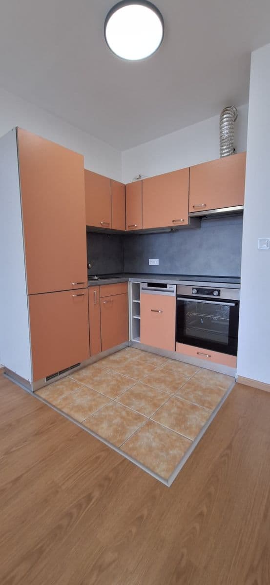 1 bedroom with open-plan kitchen flat to rent, 58 m², Bechlínská, Prague, Prague 1 bedroom with open-plan kitchen flat to rent, 58 m², Bechlínská, Prague, Prague