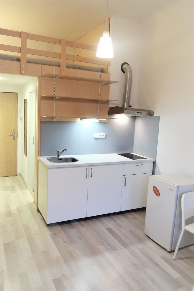 Small studio flat to rent, 20 m², Moskevská, Prague, Prague Small studio flat to rent, 20 m², Moskevská, Prague, Prague