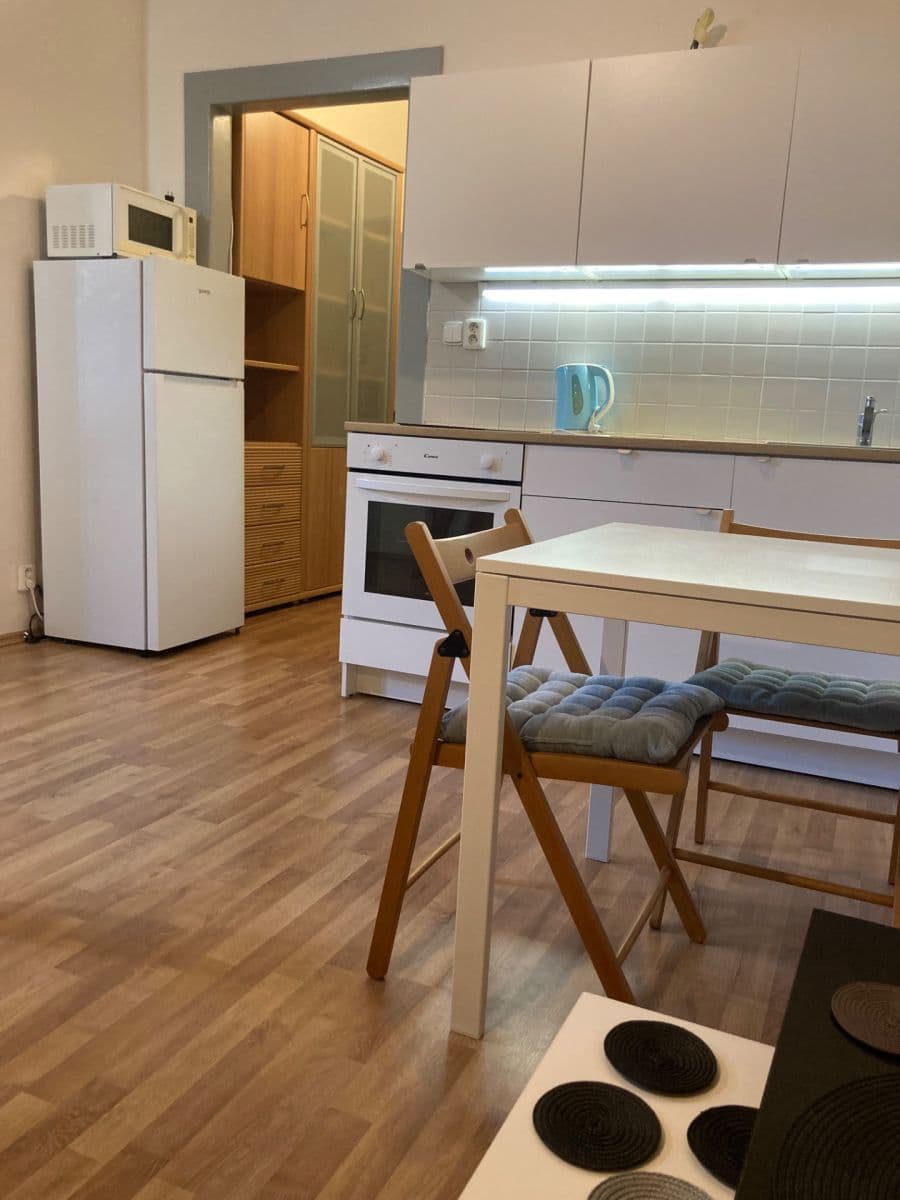 Small studio flat to rent, 22 m², Žerotínova, Prague, Prague Small studio flat to rent, 22 m², Žerotínova, Prague, Prague