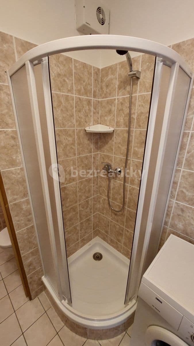1 bedroom with open-plan kitchen flat to rent, 40 m², Luštěnice, Středočeský Region 1 bedroom with open-plan kitchen flat to rent, 40 m², Luštěnice, Středočeský Region