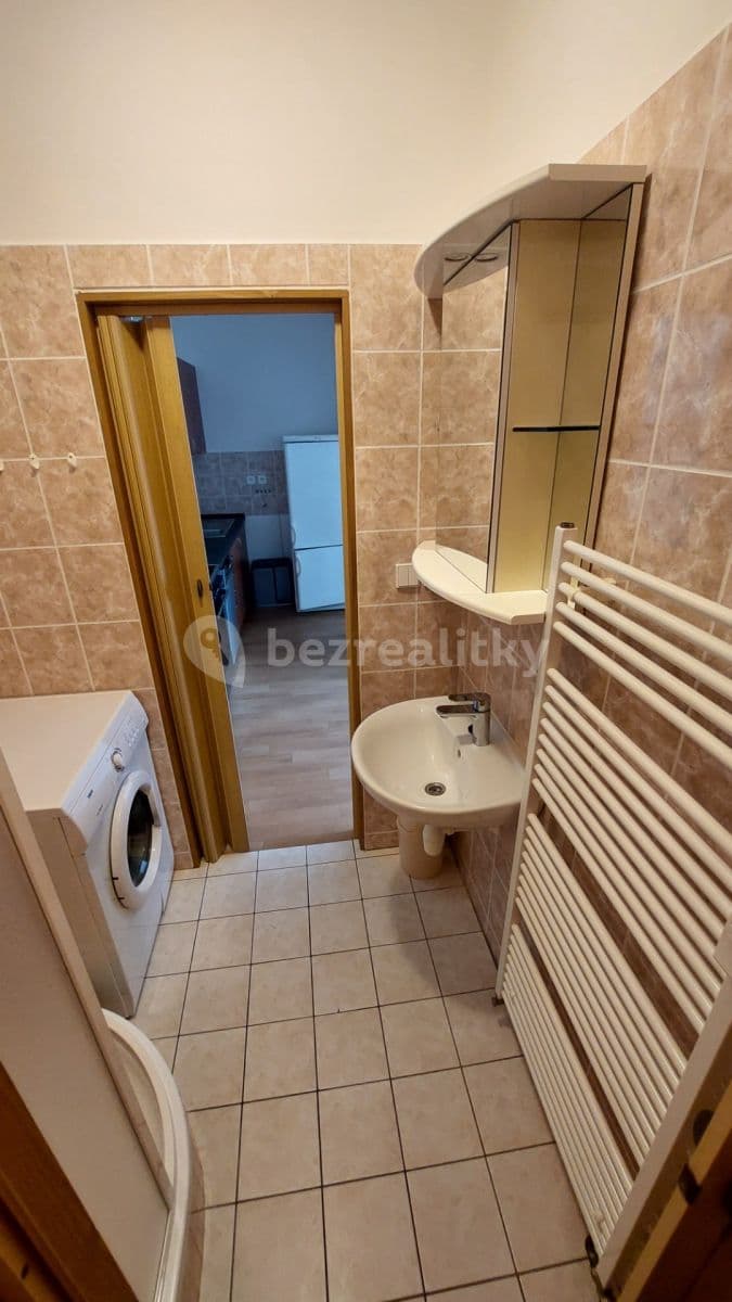 1 bedroom with open-plan kitchen flat to rent, 40 m², Luštěnice, Středočeský Region 1 bedroom with open-plan kitchen flat to rent, 40 m², Luštěnice, Středočeský Region