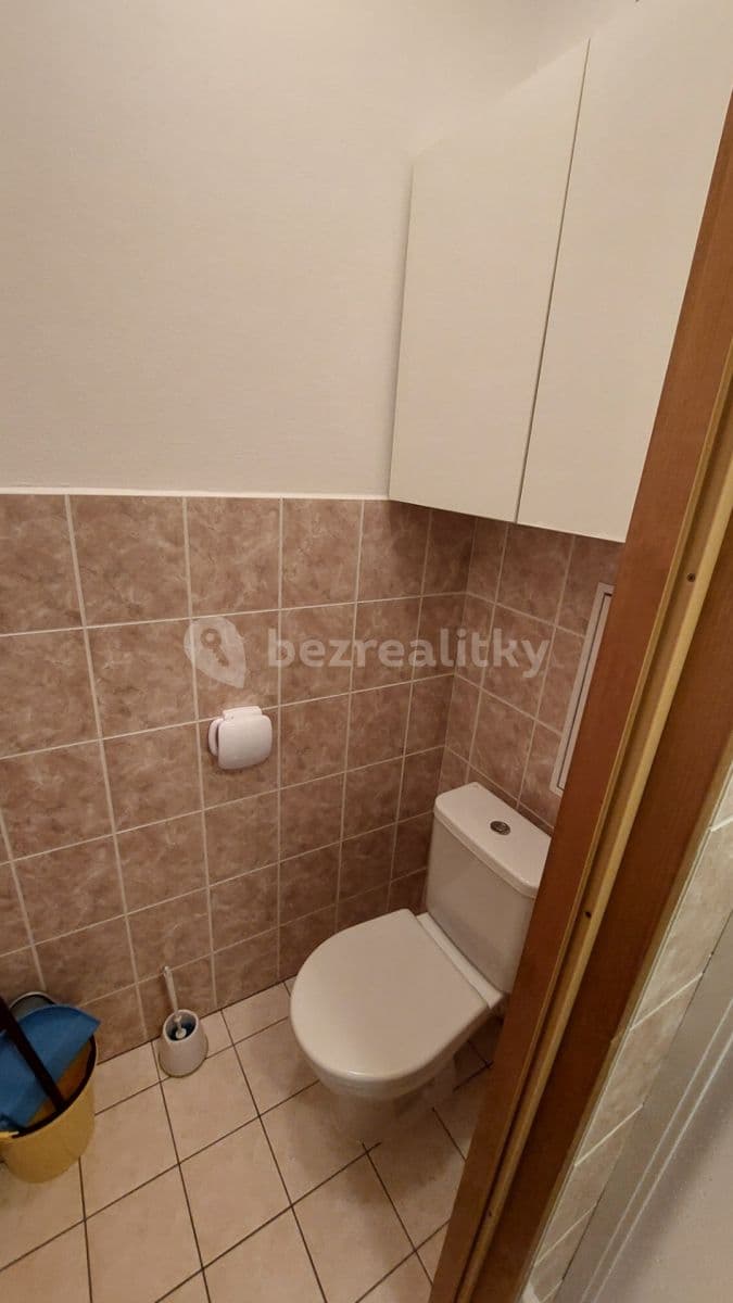 1 bedroom with open-plan kitchen flat to rent, 40 m², Luštěnice, Středočeský Region 1 bedroom with open-plan kitchen flat to rent, 40 m², Luštěnice, Středočeský Region