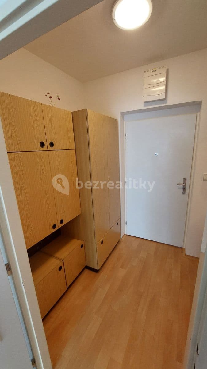 1 bedroom with open-plan kitchen flat to rent, 40 m², Luštěnice, Středočeský Region 1 bedroom with open-plan kitchen flat to rent, 40 m², Luštěnice, Středočeský Region