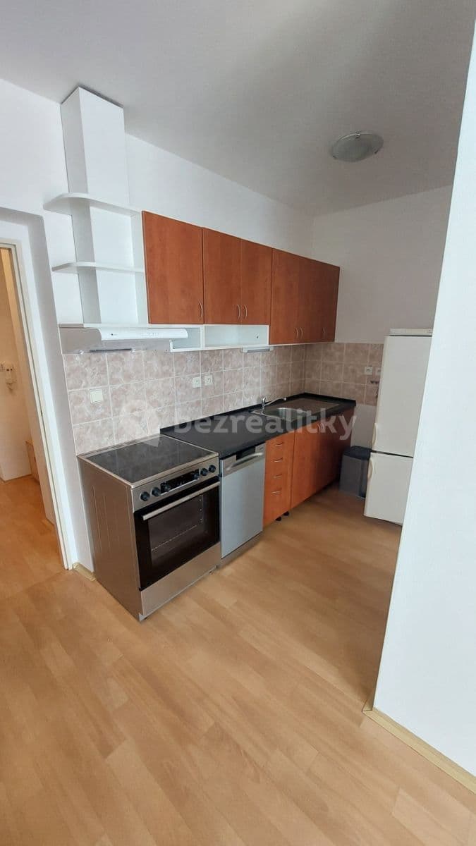 1 bedroom with open-plan kitchen flat to rent, 40 m², Luštěnice, Středočeský Region 1 bedroom with open-plan kitchen flat to rent, 40 m², Luštěnice, Středočeský Region