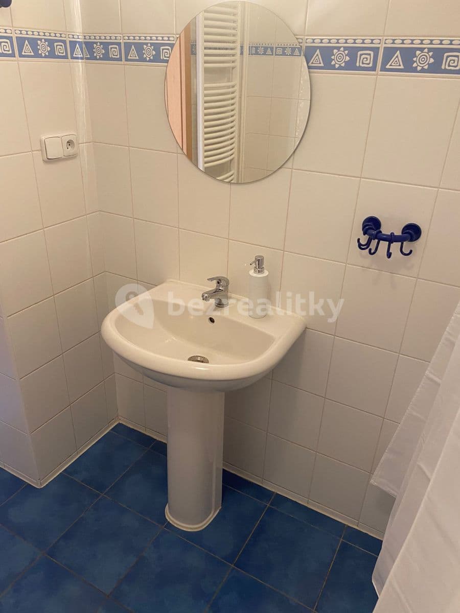 1 bedroom with open-plan kitchen flat to rent, 44 m², Levá, Prague, Prague 1 bedroom with open-plan kitchen flat to rent, 44 m², Levá, Prague, Prague