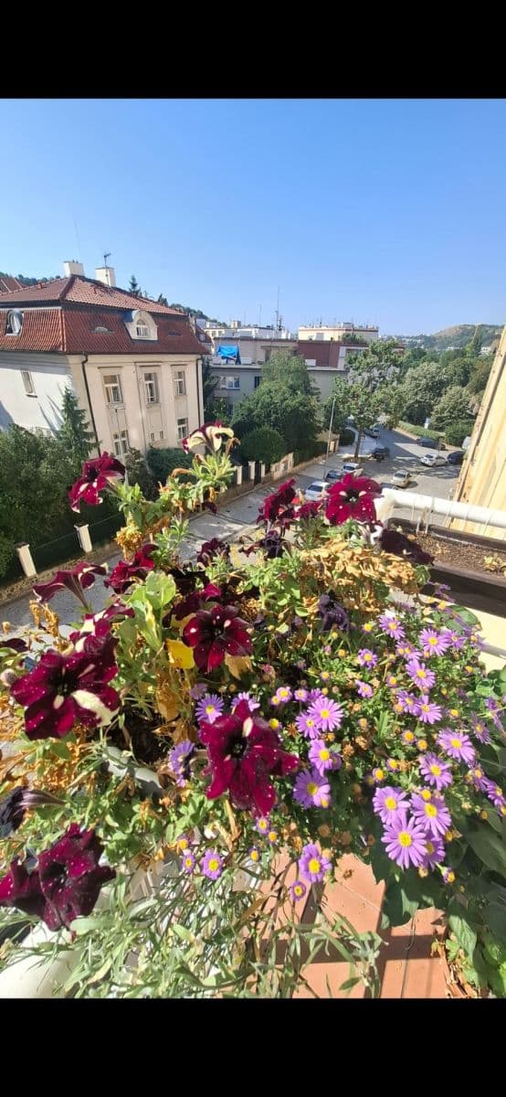 1 bedroom with open-plan kitchen flat to rent, 44 m², Levá, Prague, Prague 1 bedroom with open-plan kitchen flat to rent, 44 m², Levá, Prague, Prague
