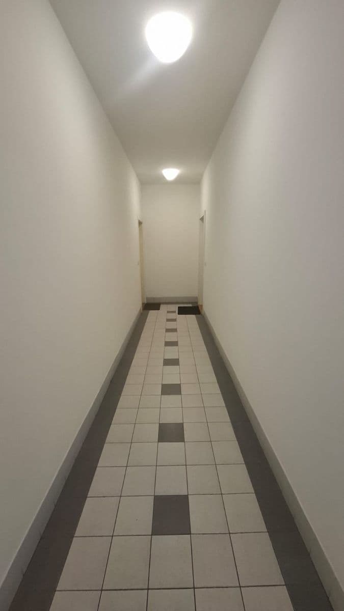 1 bedroom with open-plan kitchen flat to rent, 44 m², Levá, Prague, Prague 1 bedroom with open-plan kitchen flat to rent, 44 m², Levá, Prague, Prague