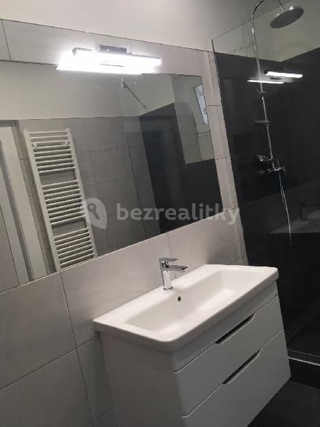 1 bedroom with open-plan kitchen flat to rent, 68 m², Moravská, Prague, Prague 1 bedroom with open-plan kitchen flat to rent, 68 m², Moravská, Prague, Prague