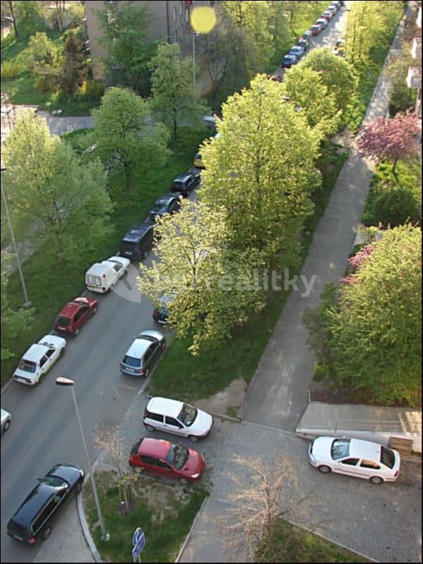 2 bedroom with open-plan kitchen flat to rent, 101 m², Pod lipami, Prague, Prague 2 bedroom with open-plan kitchen flat to rent, 101 m², Pod lipami, Prague, Prague