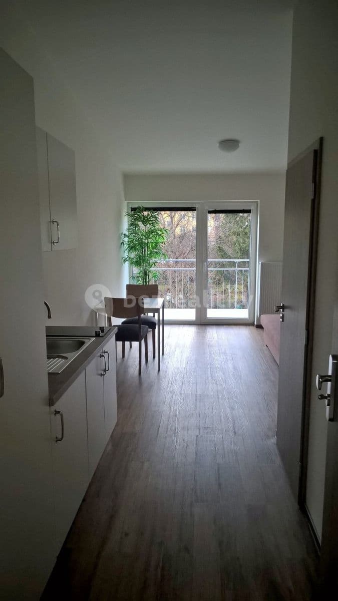 Small studio flat to rent, 21 m², Zemědělská, Brno, Jihomoravský Region Small studio flat to rent, 21 m², Zemědělská, Brno, Jihomoravský Region