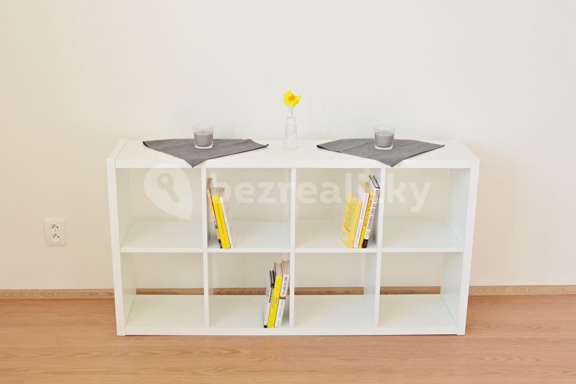 1 bedroom with open-plan kitchen flat to rent, 60 m², Plzeň, Plzeňský Region 1 bedroom with open-plan kitchen flat to rent, 60 m², Plzeň, Plzeňský Region