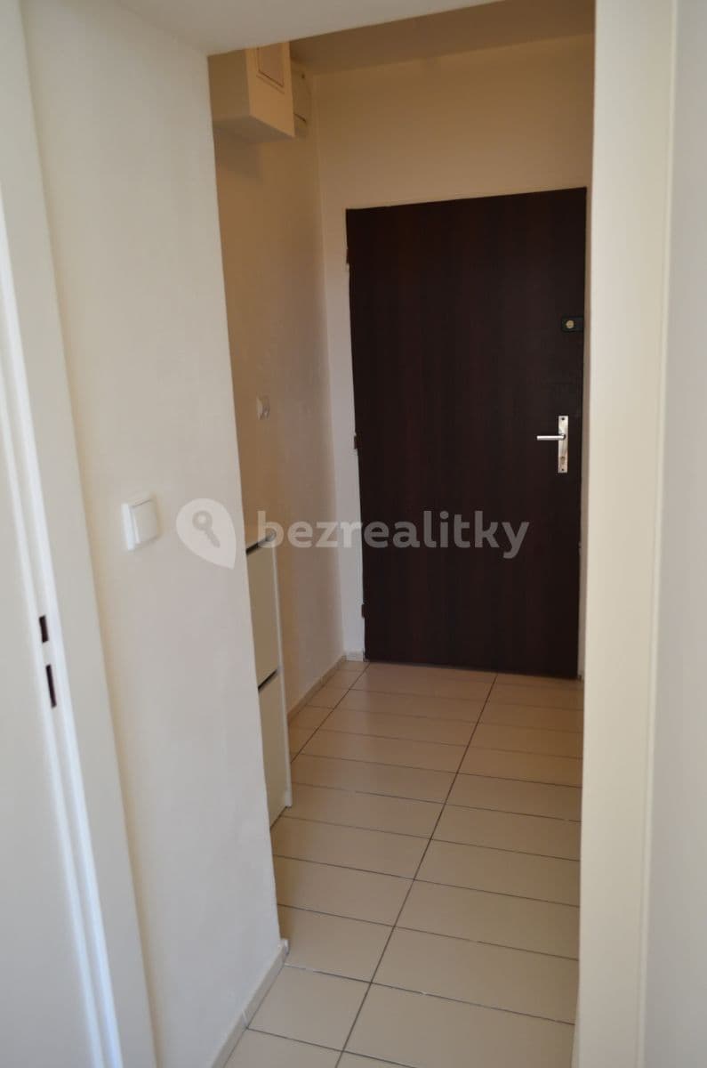 1 bedroom with open-plan kitchen flat to rent, 60 m², Plzeň, Plzeňský Region 1 bedroom with open-plan kitchen flat to rent, 60 m², Plzeň, Plzeňský Region