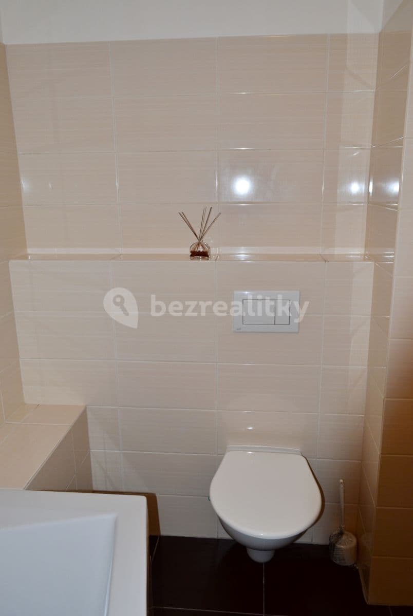 1 bedroom with open-plan kitchen flat to rent, 60 m², Plzeň, Plzeňský Region 1 bedroom with open-plan kitchen flat to rent, 60 m², Plzeň, Plzeňský Region