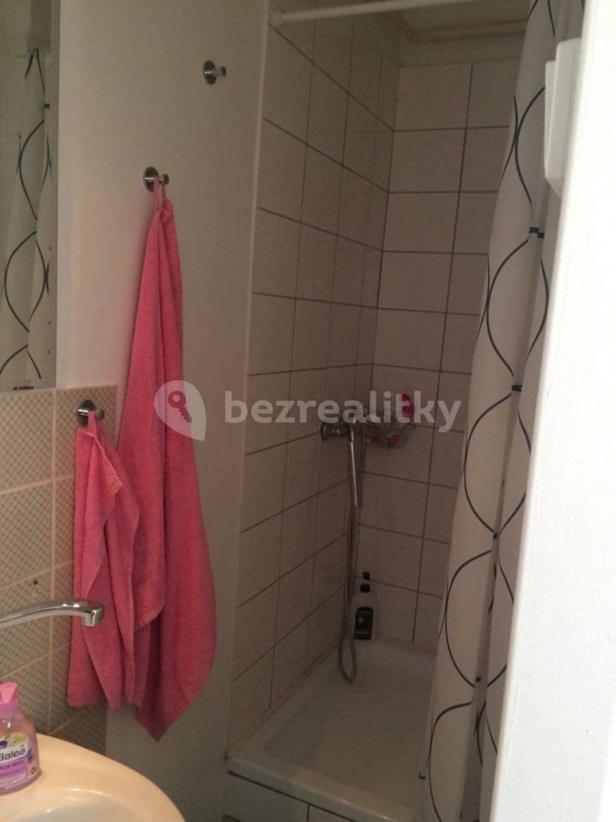 1 bedroom with open-plan kitchen flat to rent, 38 m², Nuselská, Prague, Prague 1 bedroom with open-plan kitchen flat to rent, 38 m², Nuselská, Prague, Prague