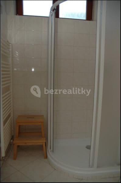 1 bedroom with open-plan kitchen flat to rent, 54 m², U Druhé baterie, Prague, Prague 1 bedroom with open-plan kitchen flat to rent, 54 m², U Druhé baterie, Prague, Prague