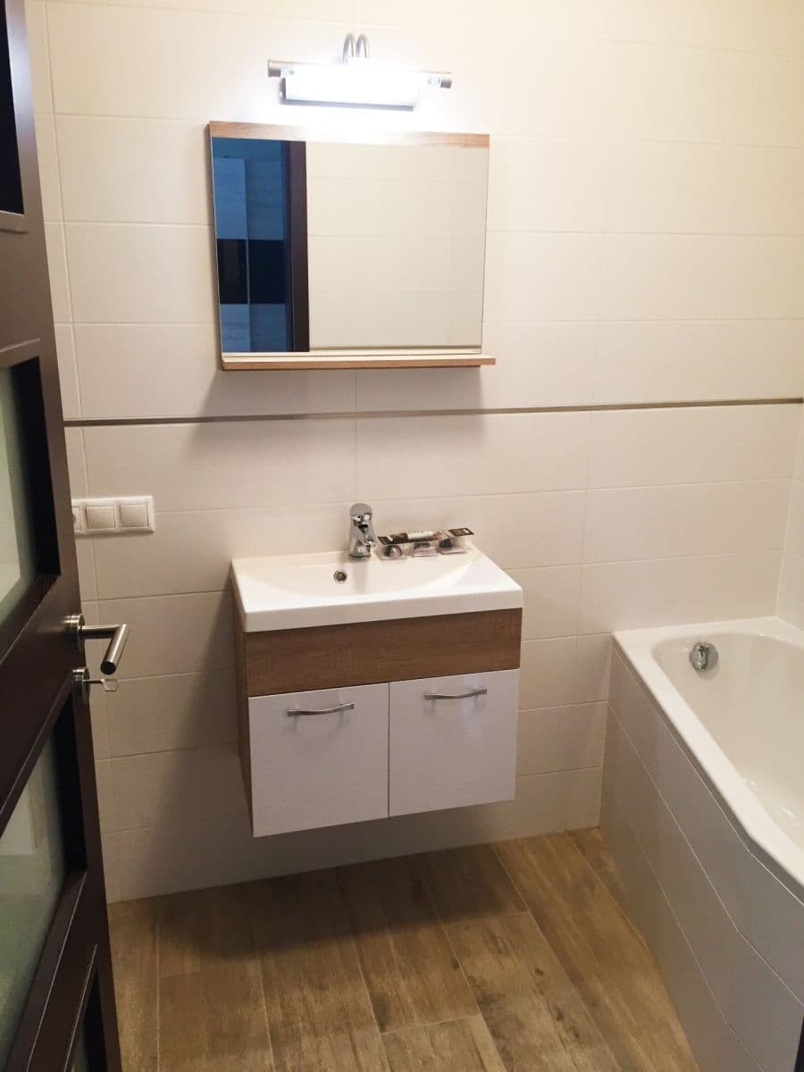 1 bedroom with open-plan kitchen flat to rent, 57 m², U Velkého rybníka, Plzeň, Plzeňský Region 1 bedroom with open-plan kitchen flat to rent, 57 m², U Velkého rybníka, Plzeň, Plzeňský Region