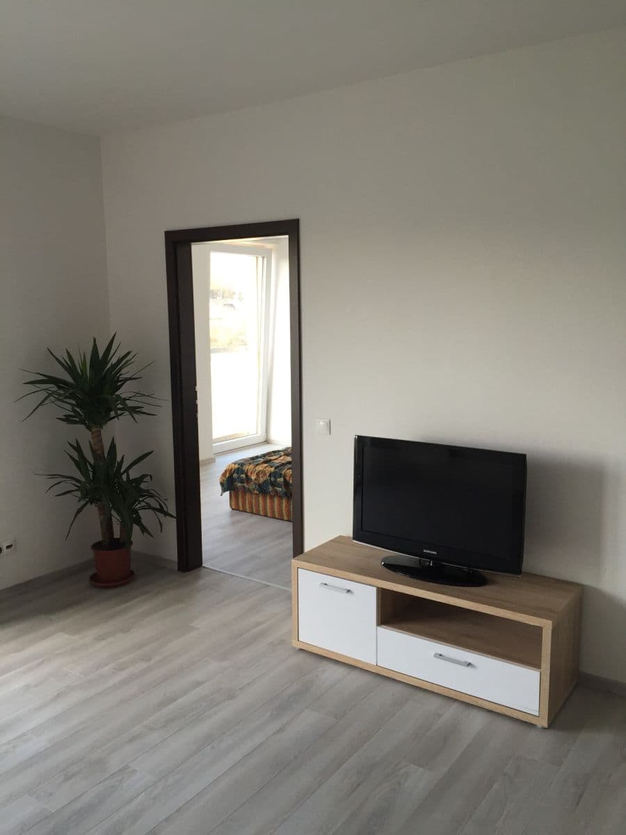 1 bedroom with open-plan kitchen flat to rent, 57 m², U Velkého rybníka, Plzeň, Plzeňský Region 1 bedroom with open-plan kitchen flat to rent, 57 m², U Velkého rybníka, Plzeň, Plzeňský Region