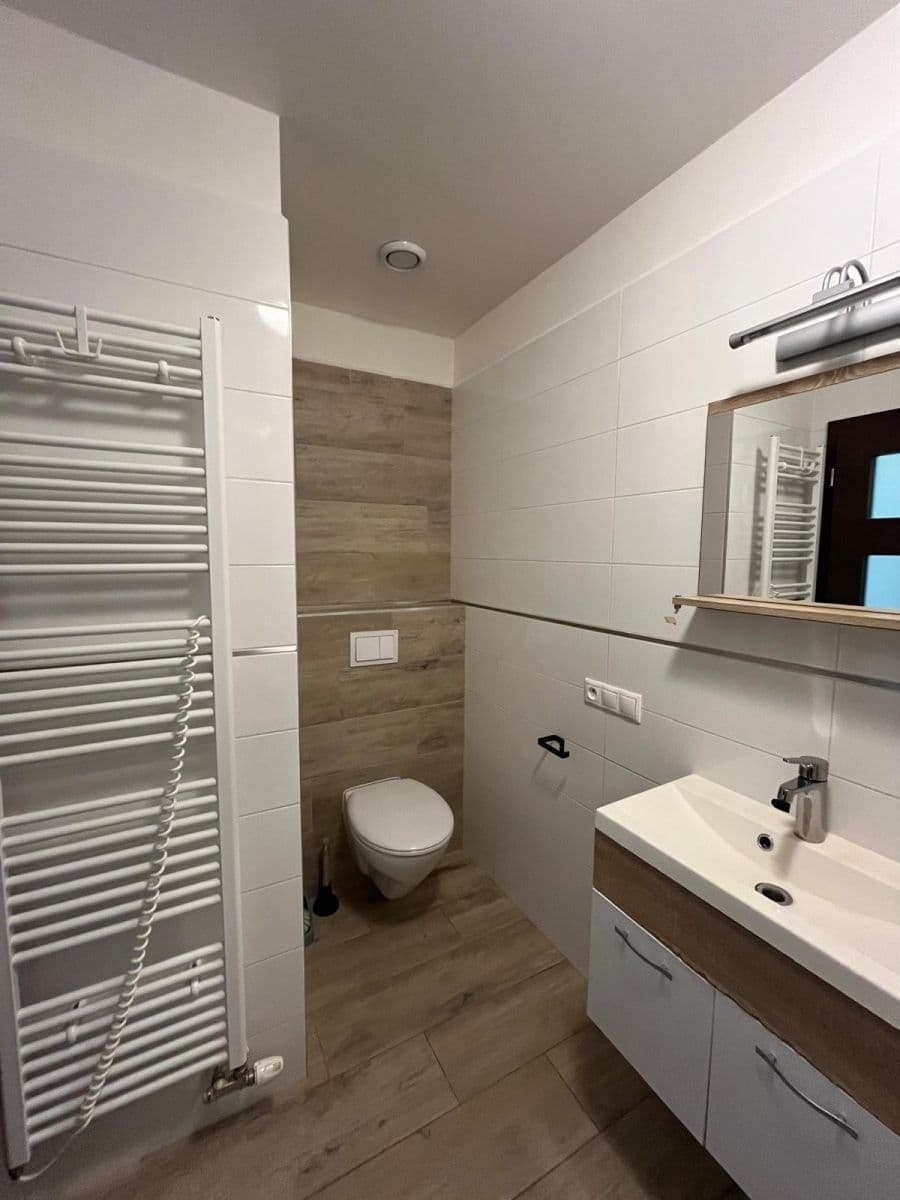 1 bedroom with open-plan kitchen flat to rent, 57 m², U Velkého rybníka, Plzeň, Plzeňský Region 1 bedroom with open-plan kitchen flat to rent, 57 m², U Velkého rybníka, Plzeň, Plzeňský Region