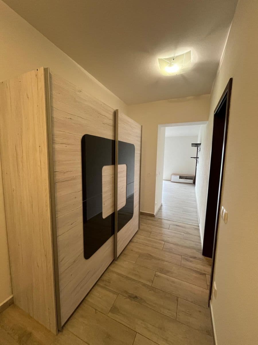 1 bedroom with open-plan kitchen flat to rent, 57 m², U Velkého rybníka, Plzeň, Plzeňský Region 1 bedroom with open-plan kitchen flat to rent, 57 m², U Velkého rybníka, Plzeň, Plzeňský Region