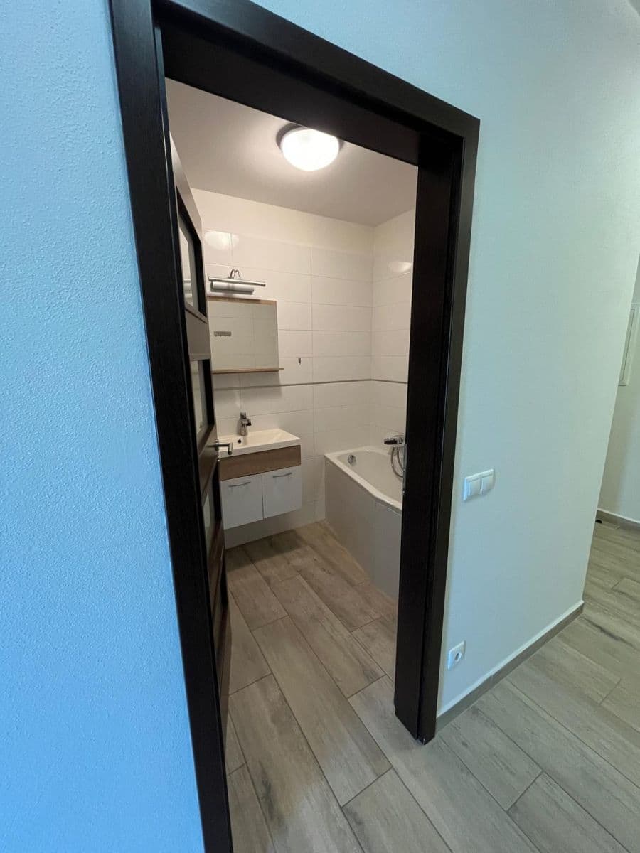 1 bedroom with open-plan kitchen flat to rent, 57 m², U Velkého rybníka, Plzeň, Plzeňský Region 1 bedroom with open-plan kitchen flat to rent, 57 m², U Velkého rybníka, Plzeň, Plzeňský Region