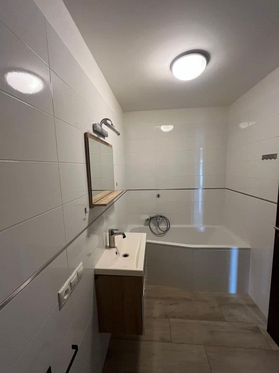 1 bedroom with open-plan kitchen flat to rent, 57 m², U Velkého rybníka, Plzeň, Plzeňský Region 1 bedroom with open-plan kitchen flat to rent, 57 m², U Velkého rybníka, Plzeň, Plzeňský Region