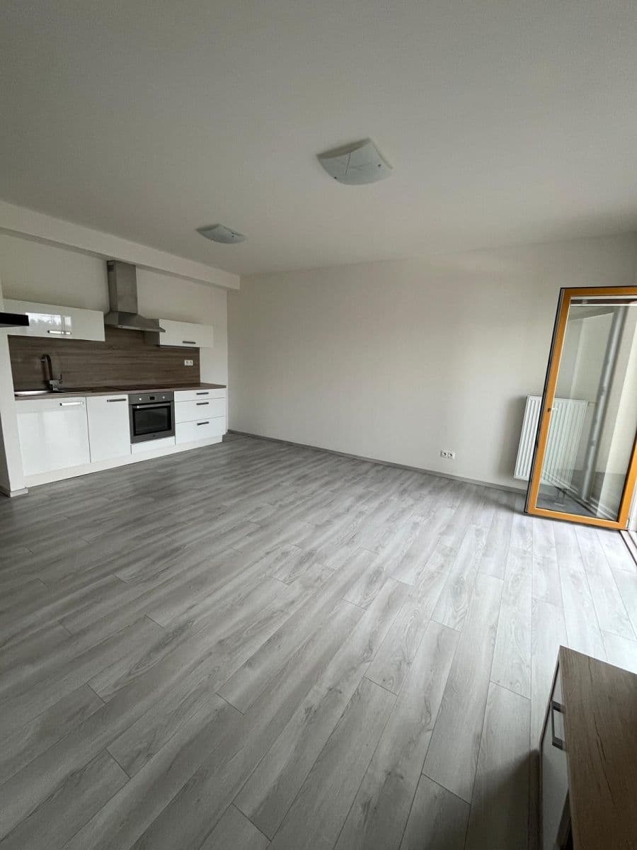 1 bedroom with open-plan kitchen flat to rent, 57 m², U Velkého rybníka, Plzeň, Plzeňský Region 1 bedroom with open-plan kitchen flat to rent, 57 m², U Velkého rybníka, Plzeň, Plzeňský Region