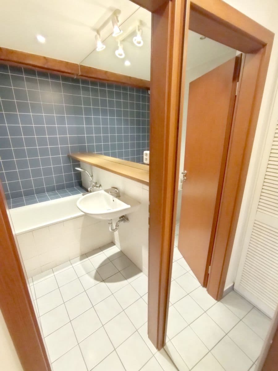 1 bedroom with open-plan kitchen flat to rent, 55 m², Klapkova, Prague, Prague 1 bedroom with open-plan kitchen flat to rent, 55 m², Klapkova, Prague, Prague