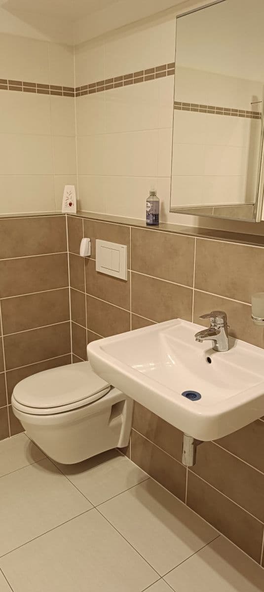 1 bedroom with open-plan kitchen flat to rent, 63 m², Mirešická, Jinočany, Středočeský Region 1 bedroom with open-plan kitchen flat to rent, 63 m², Mirešická, Jinočany, Středočeský Region