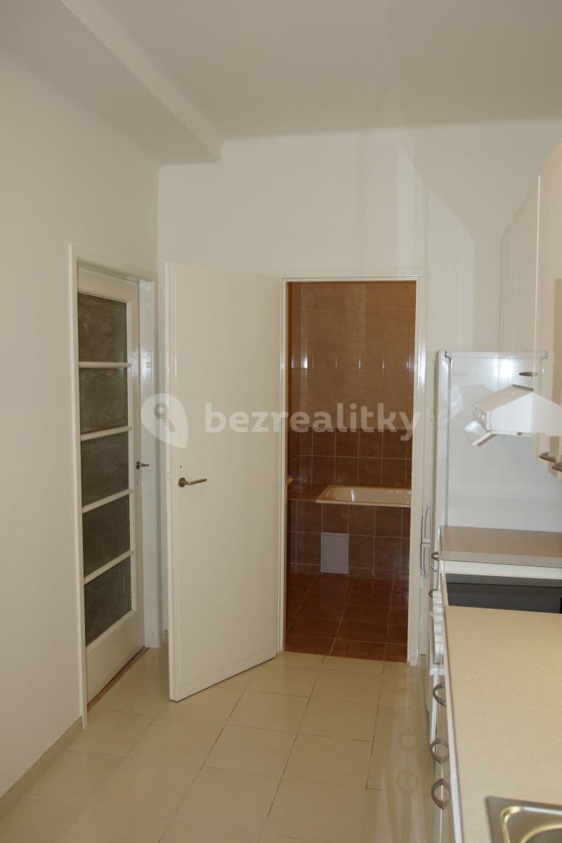 1 bedroom with open-plan kitchen flat to rent, 58 m², Prague, Prague