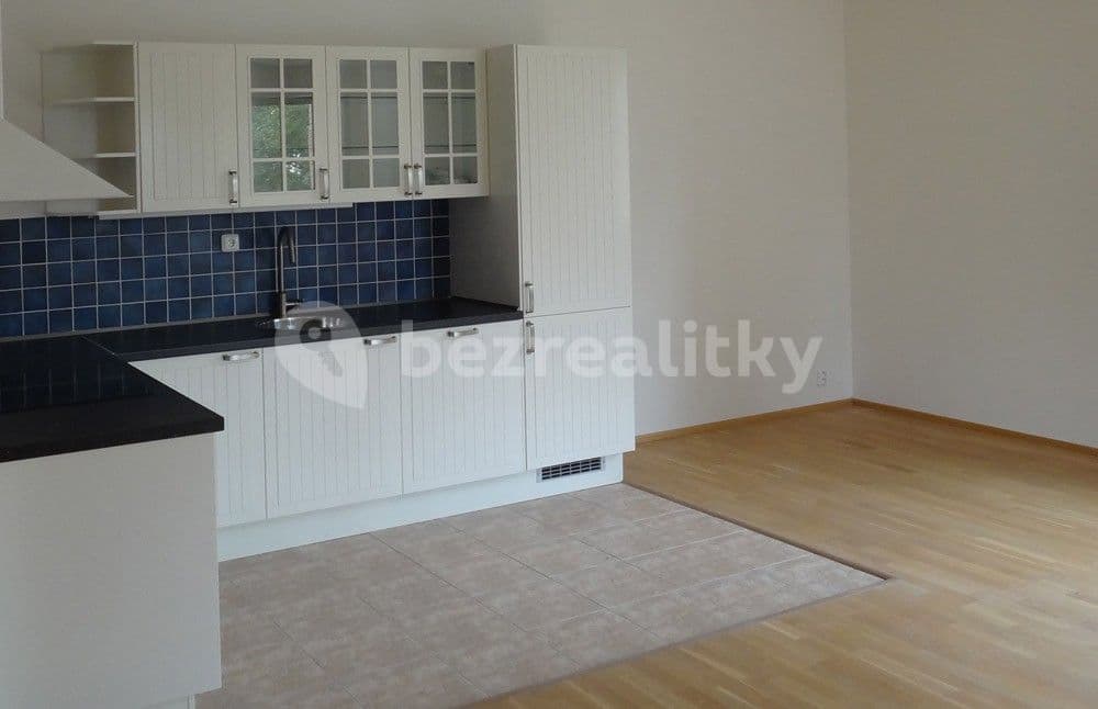 1 bedroom with open-plan kitchen flat to rent, 64 m², Paťanka, Prague, Prague 1 bedroom with open-plan kitchen flat to rent, 64 m², Paťanka, Prague, Prague