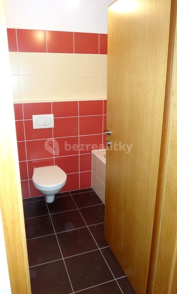 1 bedroom with open-plan kitchen flat to rent, 64 m², Paťanka, Prague, Prague 1 bedroom with open-plan kitchen flat to rent, 64 m², Paťanka, Prague, Prague