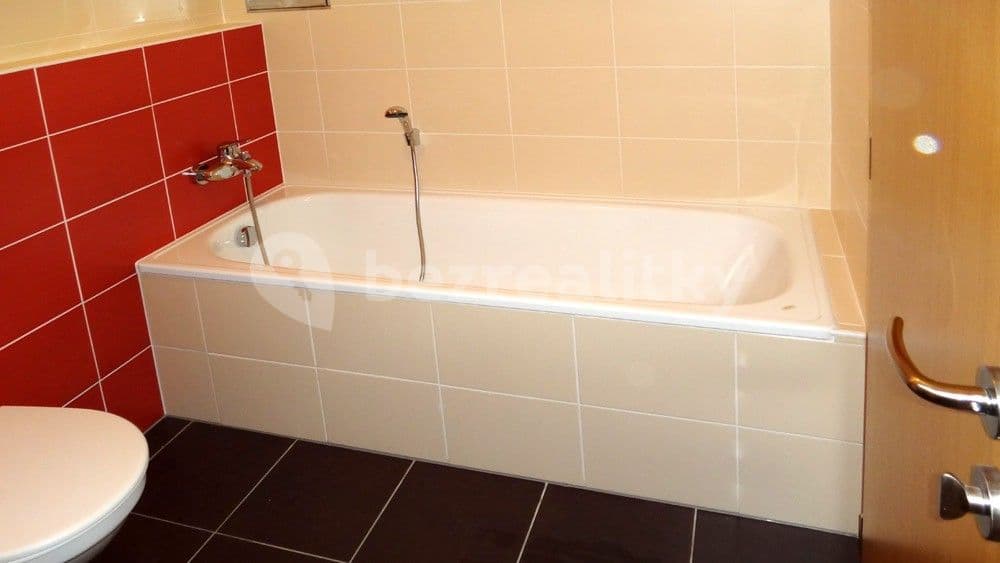 1 bedroom with open-plan kitchen flat to rent, 64 m², Paťanka, Prague, Prague 1 bedroom with open-plan kitchen flat to rent, 64 m², Paťanka, Prague, Prague