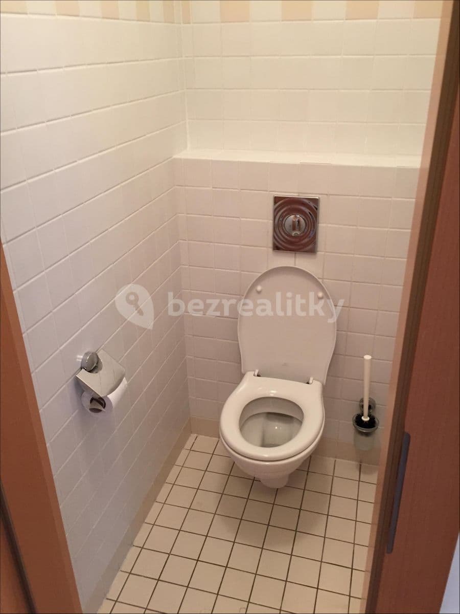 1 bedroom with open-plan kitchen flat to rent, 53 m², Nepilova, Prague, Prague 1 bedroom with open-plan kitchen flat to rent, 53 m², Nepilova, Prague, Prague