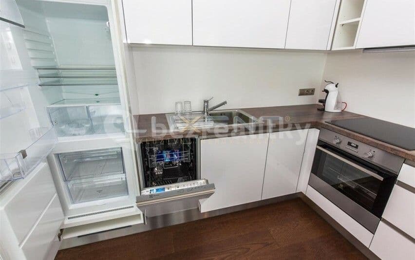 Small studio flat to rent, 43 m², Na Hřebenkách, Prague, Prague Small studio flat to rent, 43 m², Na Hřebenkách, Prague, Prague